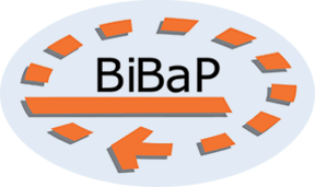 BiBaP Beatmungsintensivpflege und ambulante Pflege
